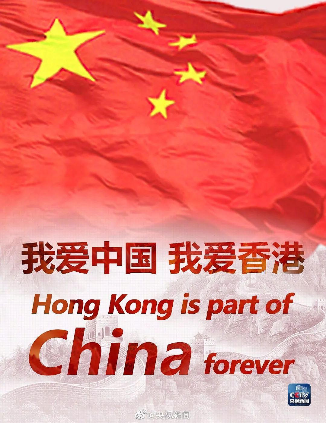 香港废青在日本集会游行，在日华人团结反击！扬国旗，唱国歌，声援祖国！给你们点赞！（组图） - 25