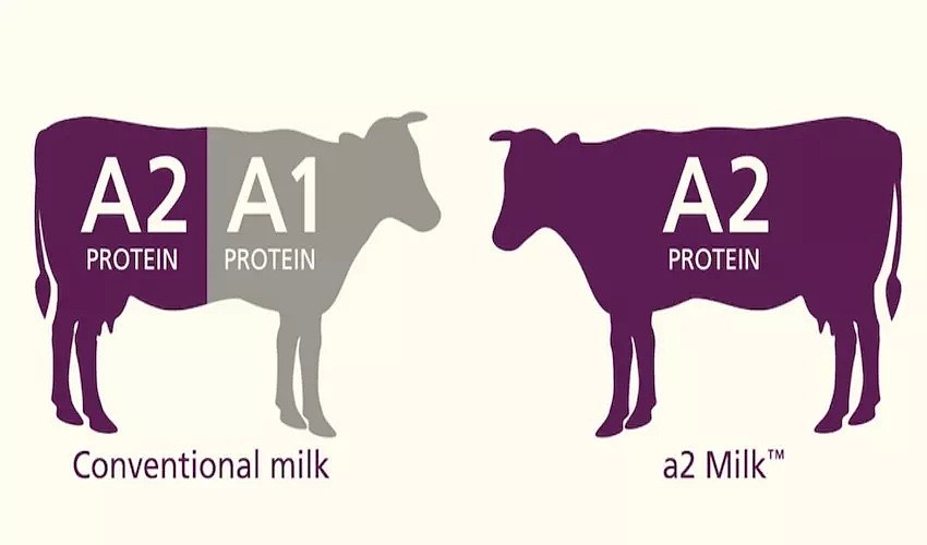 A2牛奶价值再获科研确认 细分市场进入白热化竞争时代 - 1