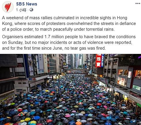 澳媒指中国“警车”现身澳洲跟香港抗议有关！真相公布后，网友都看不下去了…（组图） - 15