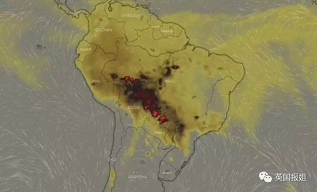 亚马逊雨林连烧三周无人管？巴西：烧成灰也不关你事！（组图） - 8