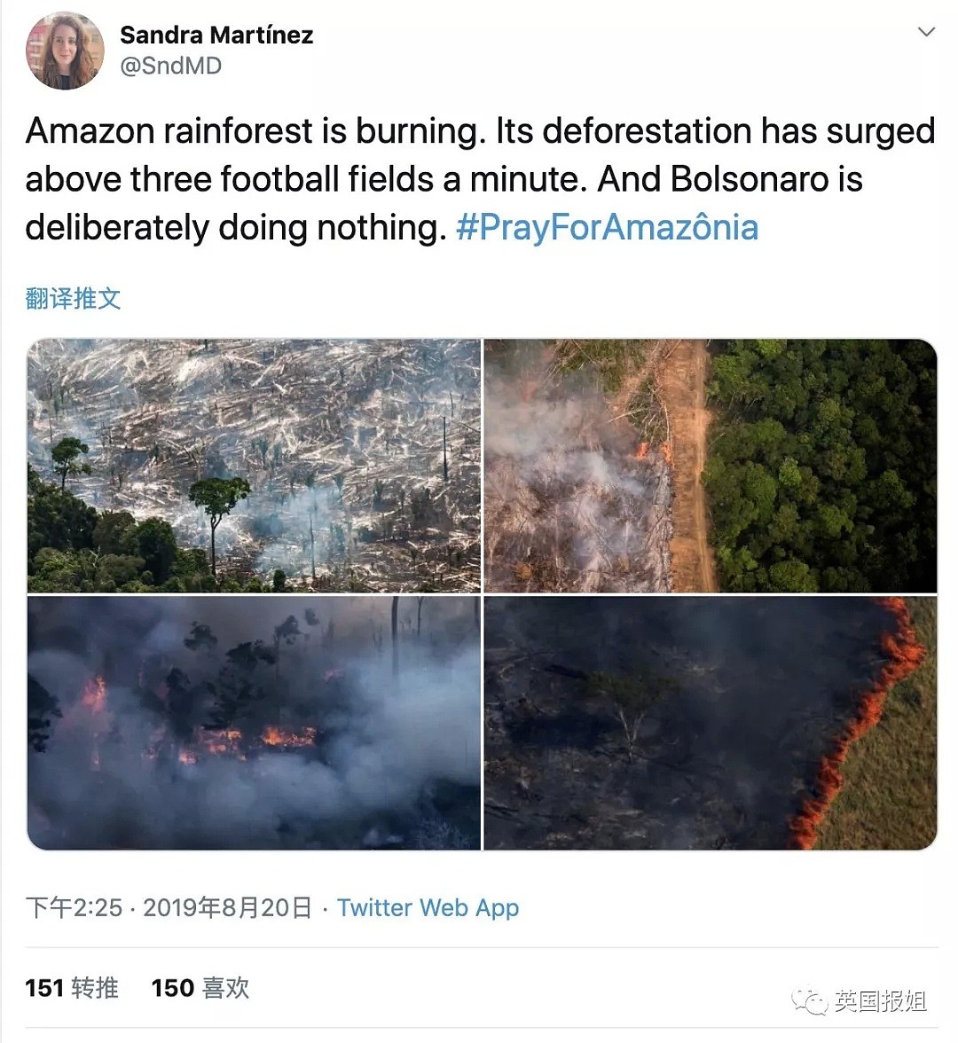 亚马逊雨林连烧三周无人管？巴西：烧成灰也不关你事！（组图） - 9