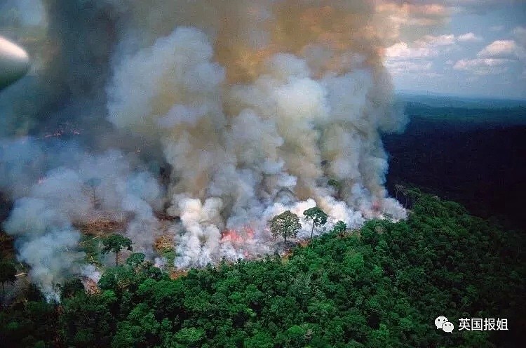亚马逊雨林连烧三周无人管？巴西：烧成灰也不关你事！（组图） - 10