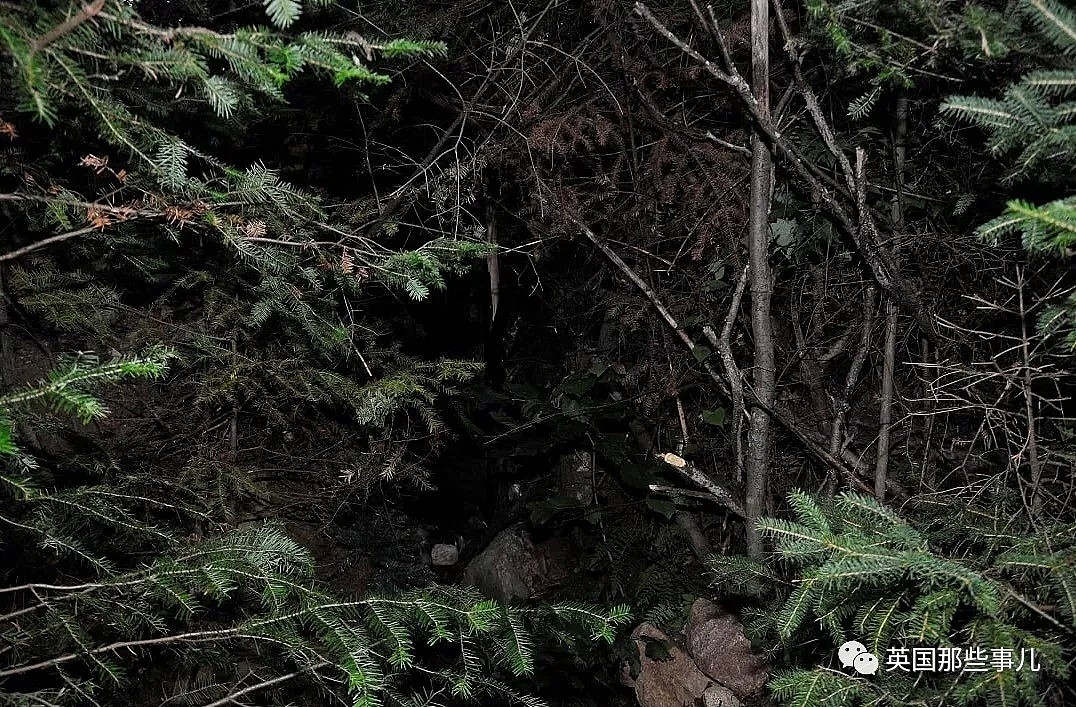猎人在林中发现一扇诡异的地堡暗门，从里面揪出一个潜逃三年的恋童癖！（组图） - 4