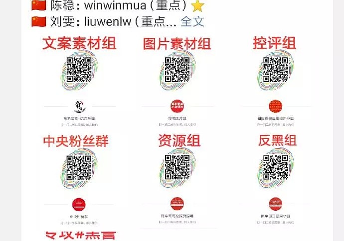 脸书重新定义“言论自由” 中国青年致公开信（组图） - 50
