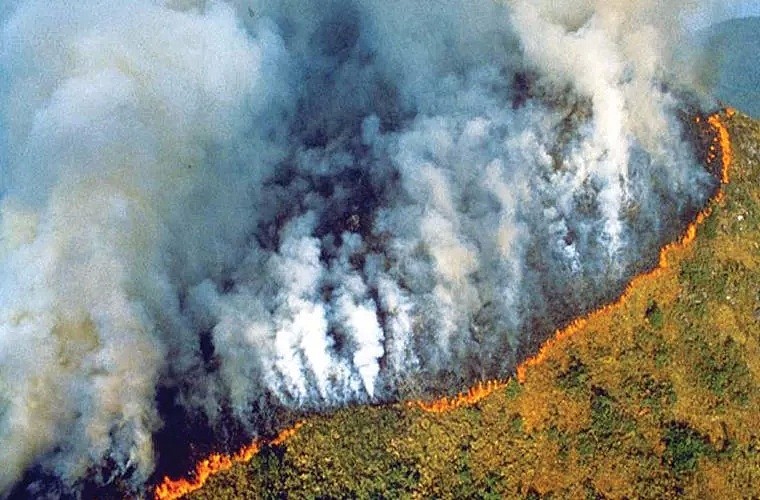 可怕！亚马逊雨林大火连烧3周，生灵涂炭，宛如世界末日！外媒集体噤声，政府不闻不问... - 2