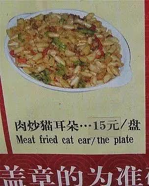 黄晓明在中餐厅的菜单翻译错误百出，看到这些菜名翻译，留学生差点笑出驴叫！（组图） - 28