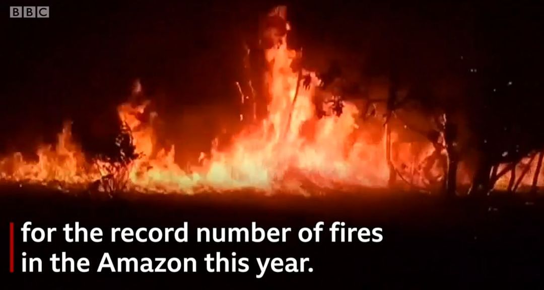 亚马逊热带雨林大火连烧三周是真的，但朋友圈疯传的消息掺了太多的假....（组图） - 13