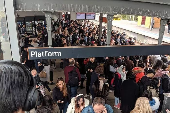 更新：悉尼晚高峰火车仍瘫痪，多条线路大延误！中央车站排长龙，站台上人挤人，周五晚回家难（组图） - 11