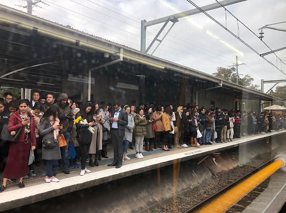 更新：悉尼晚高峰火车仍瘫痪，多条线路大延误！中央车站排长龙，站台上人挤人，周五晚回家难（组图） - 13