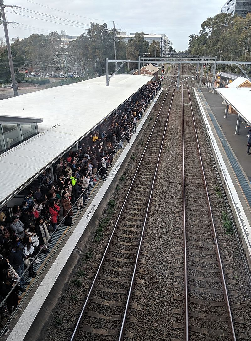 更新：悉尼晚高峰火车仍瘫痪，多条线路大延误！中央车站排长龙，站台上人挤人，周五晚回家难（组图） - 14