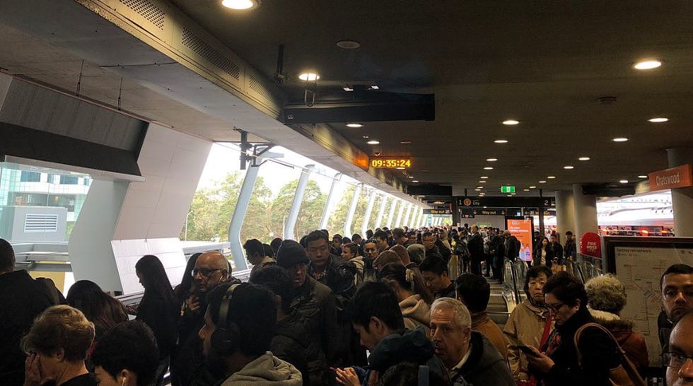 更新：悉尼晚高峰火车仍瘫痪，多条线路大延误！中央车站排长龙，站台上人挤人，周五晚回家难（组图） - 16