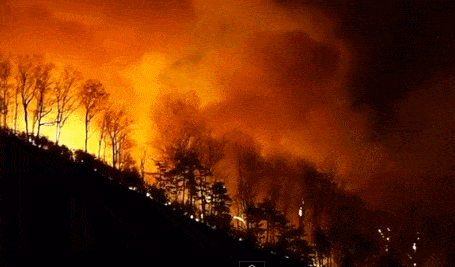 大火似地狱，“地球之肺”已烧了17天，巴西总统称“很正常”…… - 1