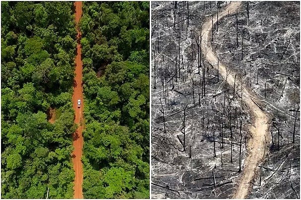 大火似地狱，“地球之肺”已烧了17天，巴西总统称“很正常”…… - 5