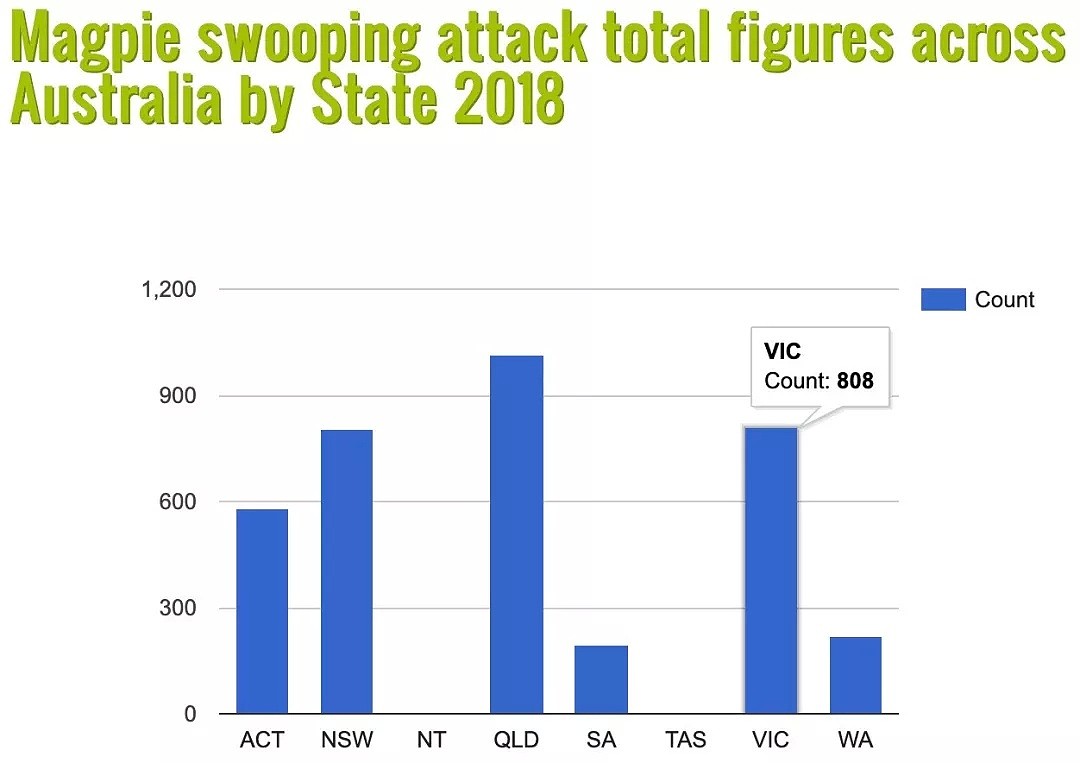 已有272人被袭击！下个月在澳洲千万当心，该团体每年伤人近千，全澳民众“闻风丧胆”...（组图） - 24