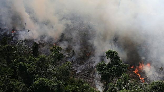 亚马孙雨林在燃烧：浓烟吹到3千公里外，每分钟烧掉1.5个足球场（组图） - 2