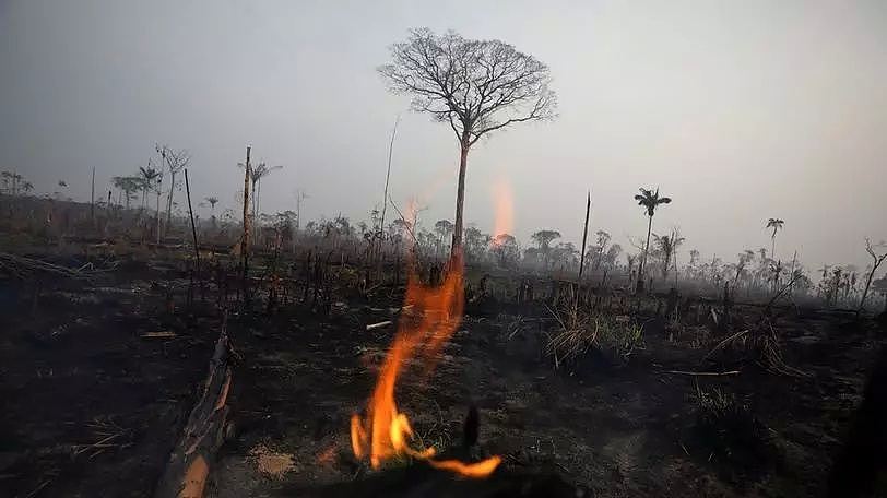 全世界都在关心亚马逊大火，但非洲这场火也烧得不小（组图） - 1