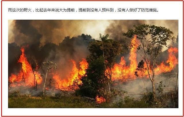 辟谣 |：亚马孙雨林火灾连登热搜，但这些网传照片是假的