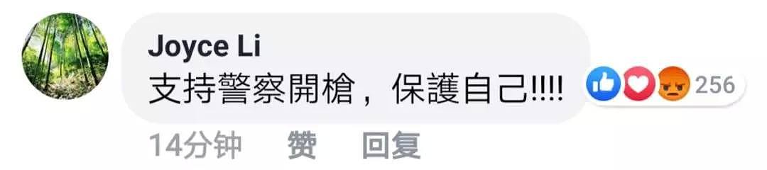 危急！港警被殴鸣枪示警却遭“记者”围骂，香港网友看不下去了（视频/组图） - 9