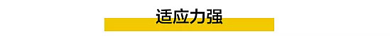 印度人能在美国当CEO，而华人多为打工仔，什么造成这种现象？（组图） - 17