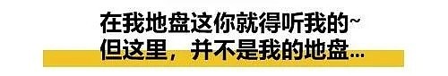 人民币跌破7.15…留学生有多惨？唱完这8首歌就知道了...（组图） - 14