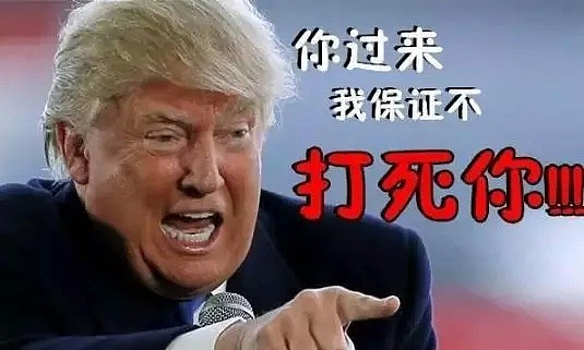 川普绿了！杜鲁多和美国第一夫人的