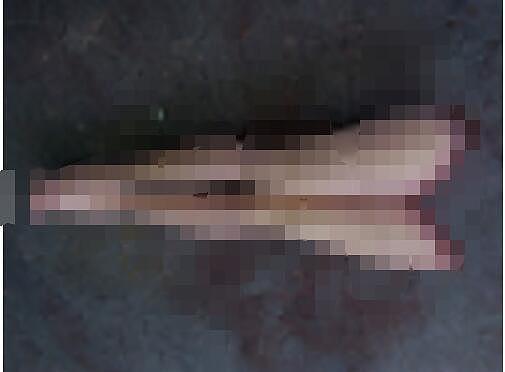 马来西亚女子被残杀肢解，尸块被塞箱中，大白腿遭割下清晰可见