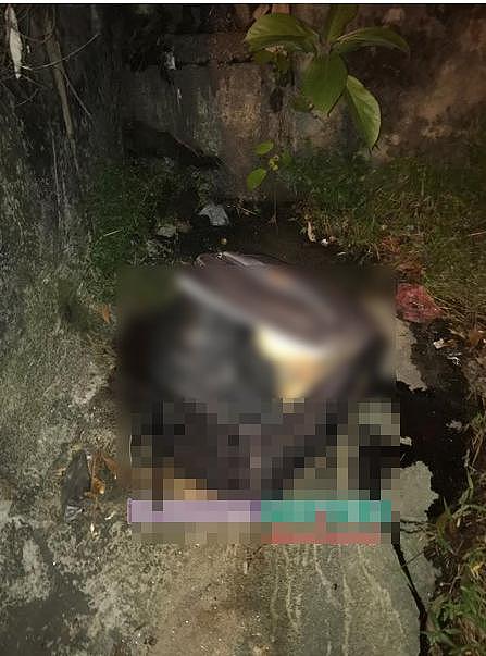 马来西亚女子被残杀肢解，尸块被塞箱中，大白腿遭割下清晰可见