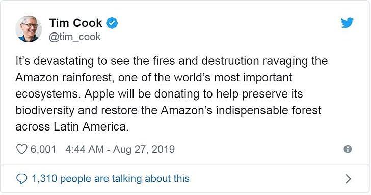 库克：苹果将向亚马逊雨林捐款以救火（图） - 2