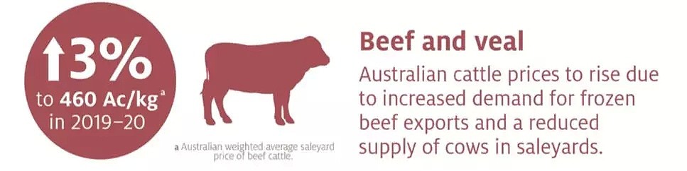 2019上半年中国进口澳洲牛肉总量激增，下半年进口关税或翻倍 - 8