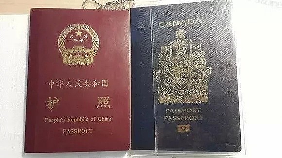 自生自灭吧！加拿大政府：不对海外侨民安全负责，救援看成本！中国：海外华人我也救！（组图） - 16