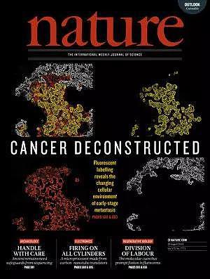 今日《自然》封面：癌症研究取得重要突破（图） - 1