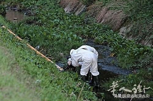 意大利暴尸荒野女子身份被确认：曾被性侵过，吞服药物自杀