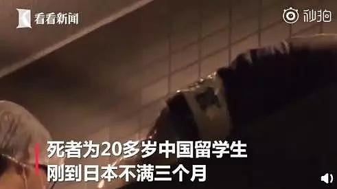 又一起“江歌案”？中国留学生日本遭同胞多刀杀害，嫌犯被捕现场否认杀人……（组图） - 15