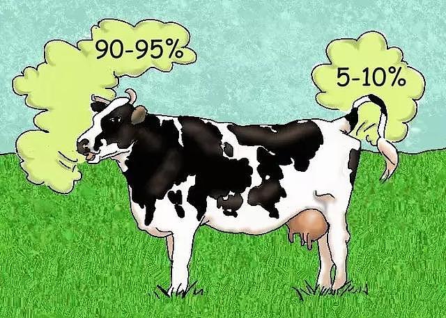 牛放屁加剧全球变暖？不，牛打嗝才是重点
