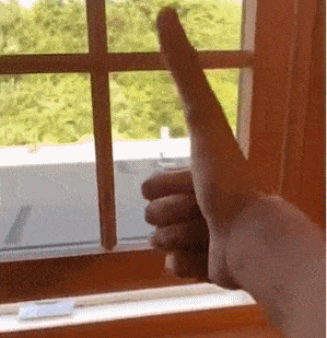 美国小哥晒出自己12公分的大拇指走红网络…嗯???12公分???（视频/组图） - 6