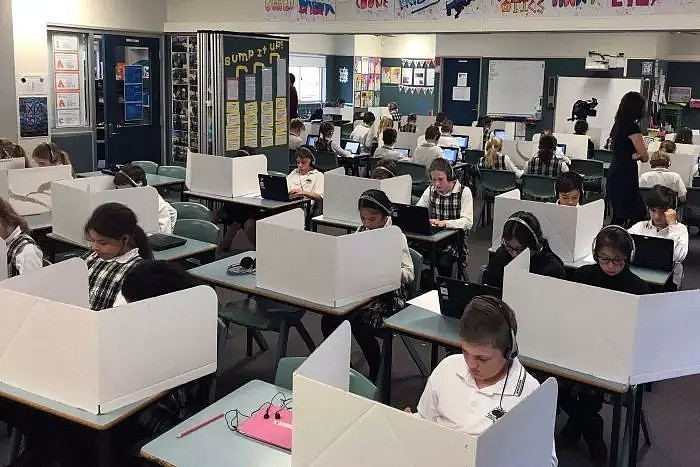 澳中小学生统考成绩创历史新低！学生写作能力不如10年前，NAPLAN遭狠批！（组图） - 5