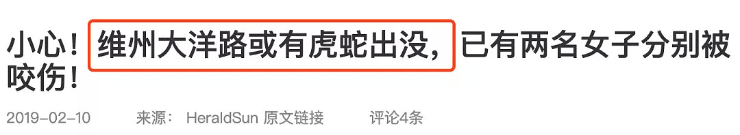 华人女子晨跑吓破胆！本月起，全墨尔本将有大量毒物四处行走！华人区也无法幸免…（组图） - 32