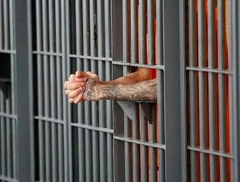 进入第二犯罪时代？2018年全澳入狱率激增130%，超4万人入狱！这一族裔犯罪率最高 - 10