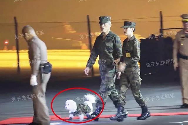 泰国国王宠狗胜过妻子，给它穿皮鞋和军装，大摇大摆走在部队里