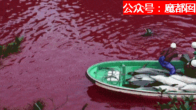残忍兽性！腥红血海！血喷如雨！日本狞笑着把刀刺进海豚身体...（组图） - 58
