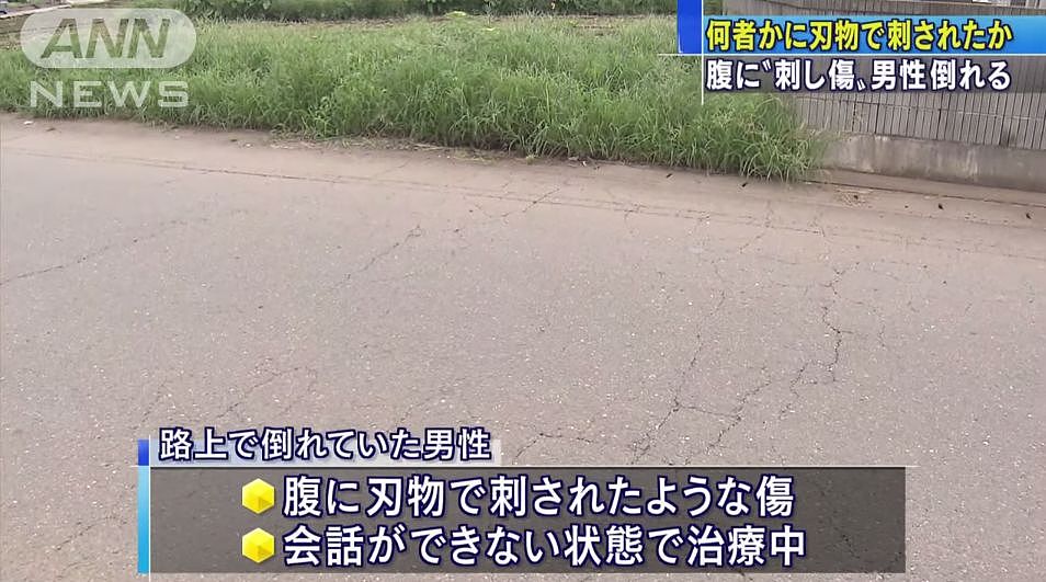 日本茨城县发现一名中国籍男子腹部遇刺流血倒在路边...（组图） - 5
