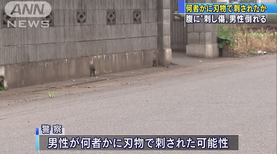 日本茨城县发现一名中国籍男子腹部遇刺流血倒在路边...（组图） - 7