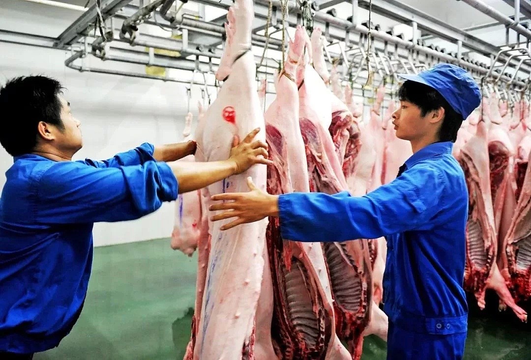 国内猪肉供应紧，为啥不大量进口？原因很简单（组图） - 2