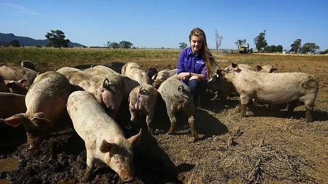 紧急！非洲猪瘟逼近澳洲，猪肉价格或持续暴涨！牛羊鸡肉也难幸免（组图） - 7