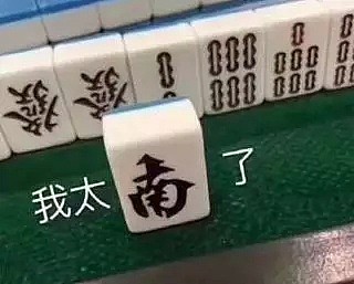 中国留学生带假枪进校获刑8个月，曾称成绩不好就开枪，还用枪指同学...（组图） - 17