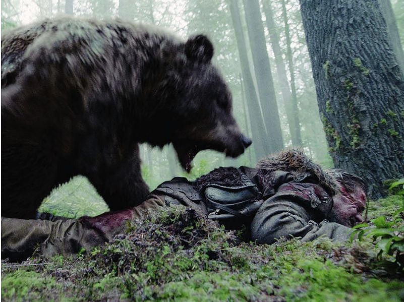 太惨！外国女游客在加拿大网红景点被黑熊拖走 凌虐至死 尸体遭群熊分食（组图） - 10