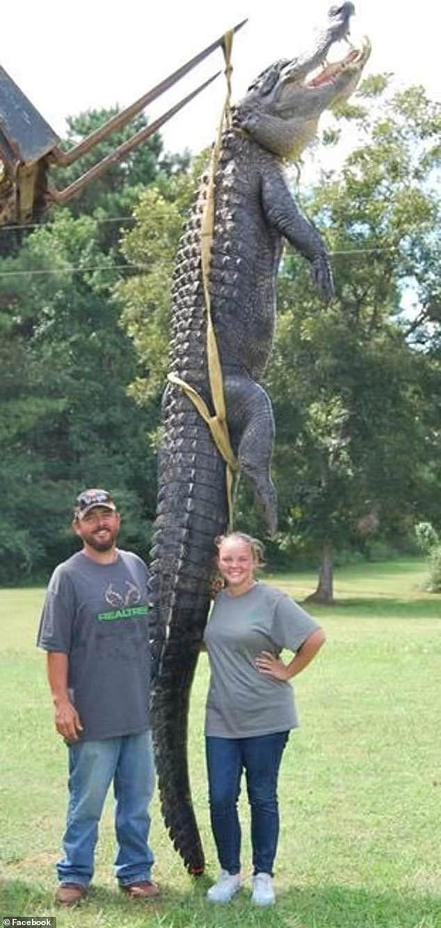 美国14岁少女勇助父亲猎杀世界最长鳄鱼，700磅4.3米长！ （组图） - 1