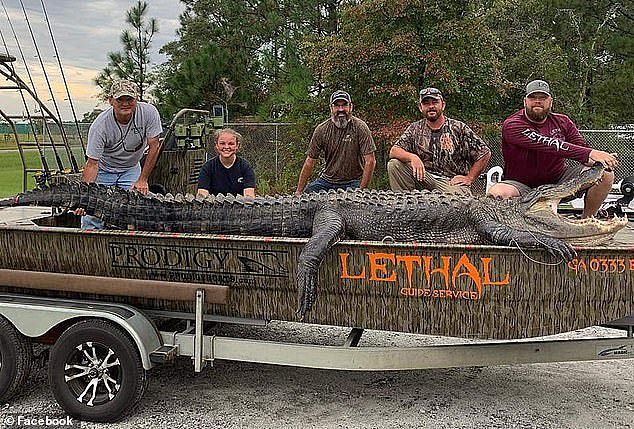 美国14岁少女勇助父亲猎杀世界最长鳄鱼，700磅4.3米长！ （组图） - 2
