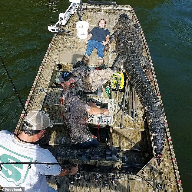 美国14岁少女勇助父亲猎杀世界最长鳄鱼，700磅4.3米长！ （组图） - 4