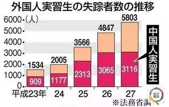 5年1万中国人在日本失踪：过劳死、性骚扰，研修生制度背后有多少罪恶？（组图） - 7